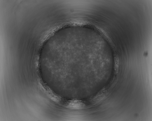 X0000114520451200911301120