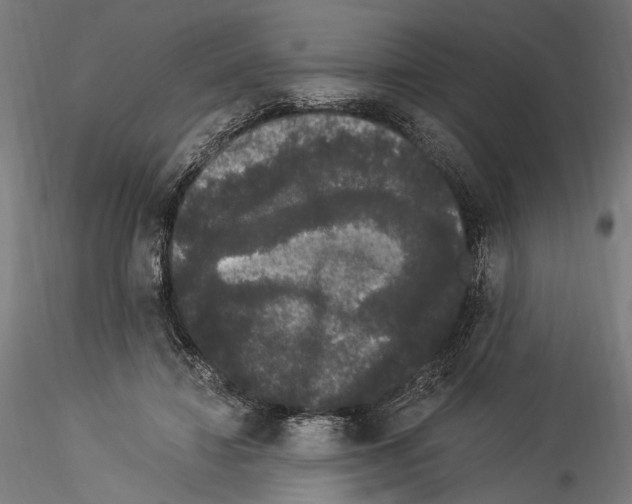 X0000114520452200911301120