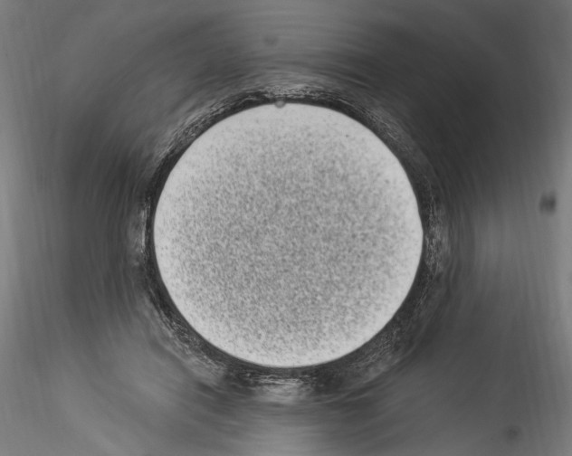 X0000114520454200911301120