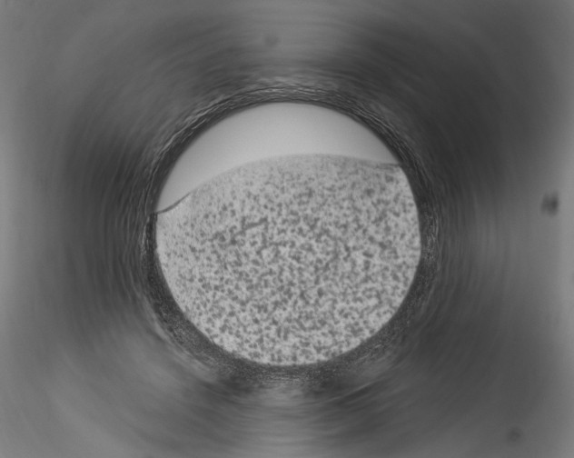 X0000114520456200911301120