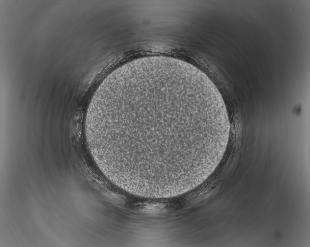 X0000114520462200911301120