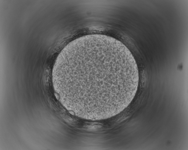 X0000114520463200911301120