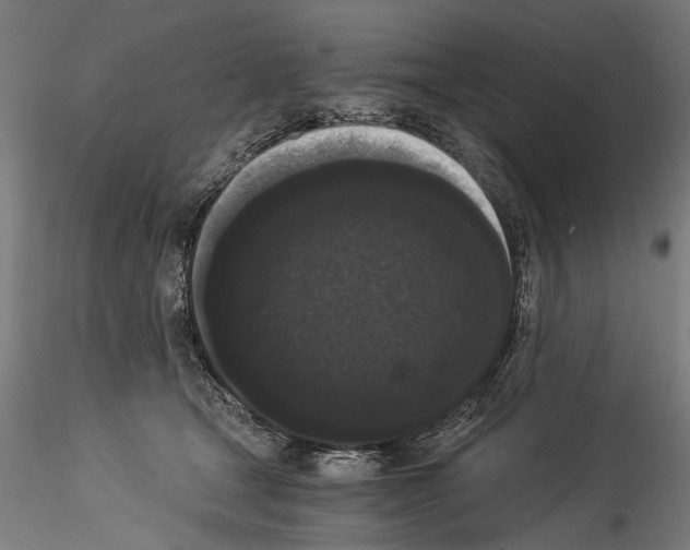 X0000114520465200911301120