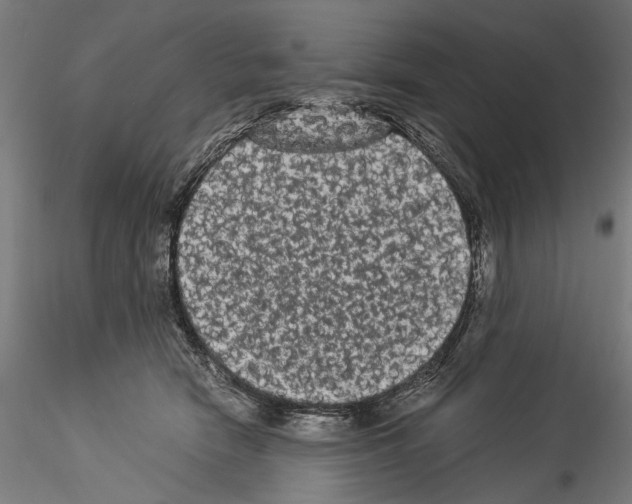 X0000114520466200911301120