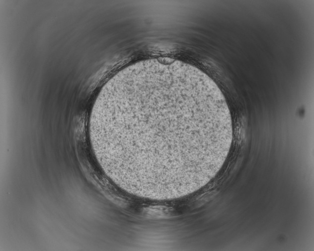 X0000114520468200911301120