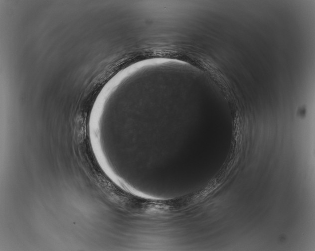 X0000114520471200911301120