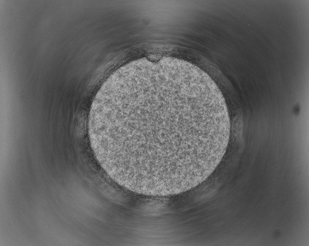 X0000114520474200911301120