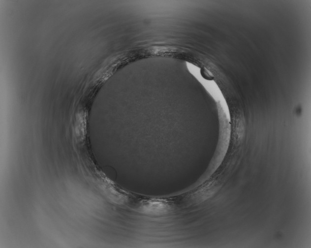 X0000114520475200911301120