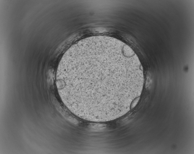 X0000114520476200911301120