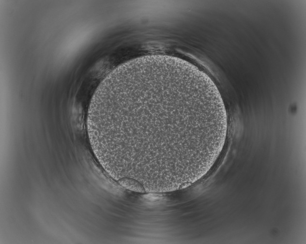 X0000114520477200911301120