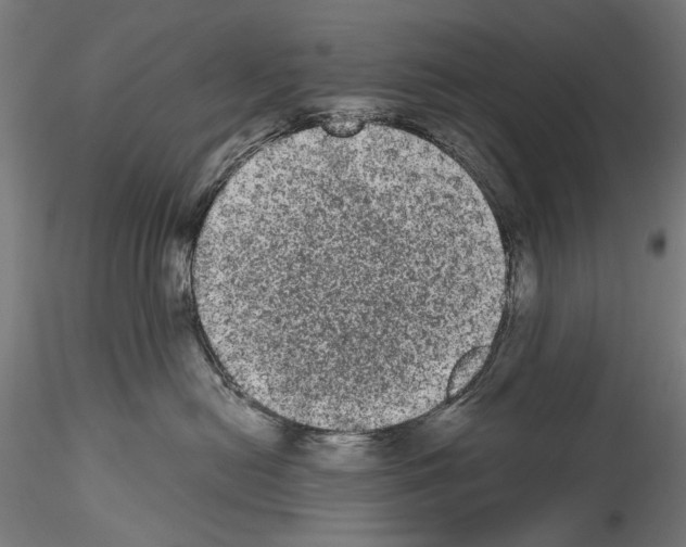 X0000114520478200911301120