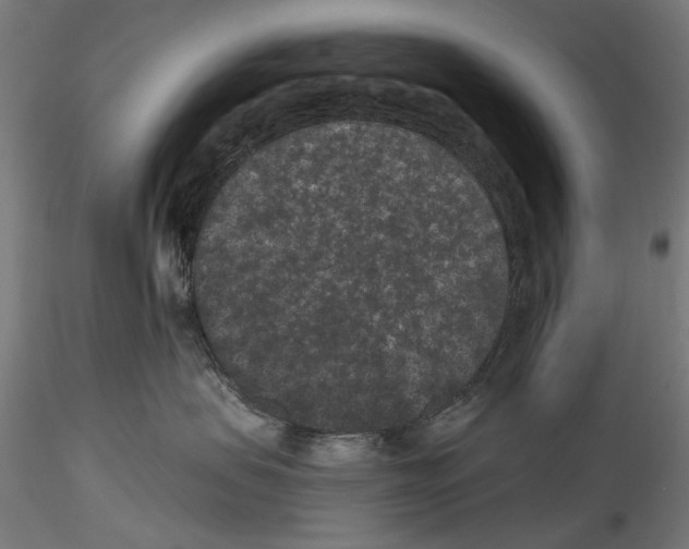 X0000114520479200911301120