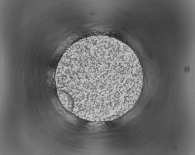 X0000114520480200911301120