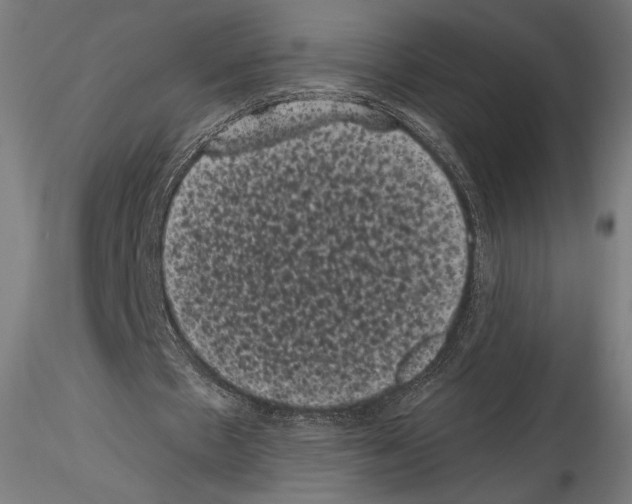 X0000114520481200911301120