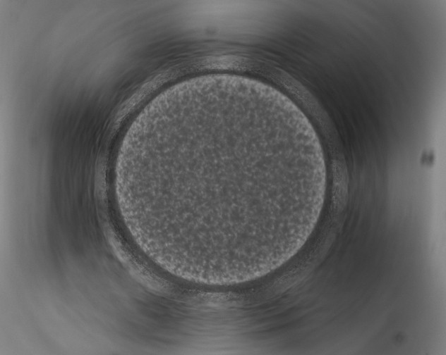 X0000114520482200911301120