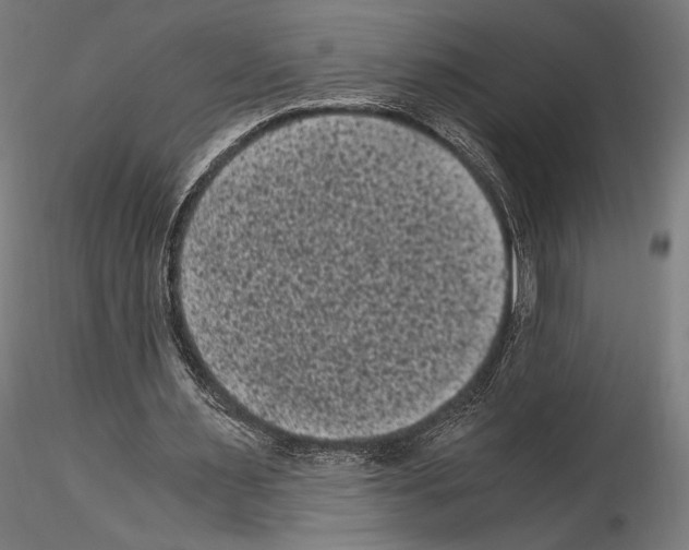 X0000114520483200911301120