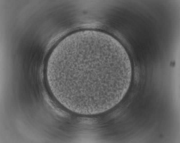 X0000114520486200911301120