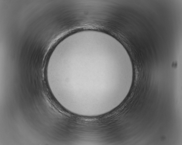 X0000114520488200911301120