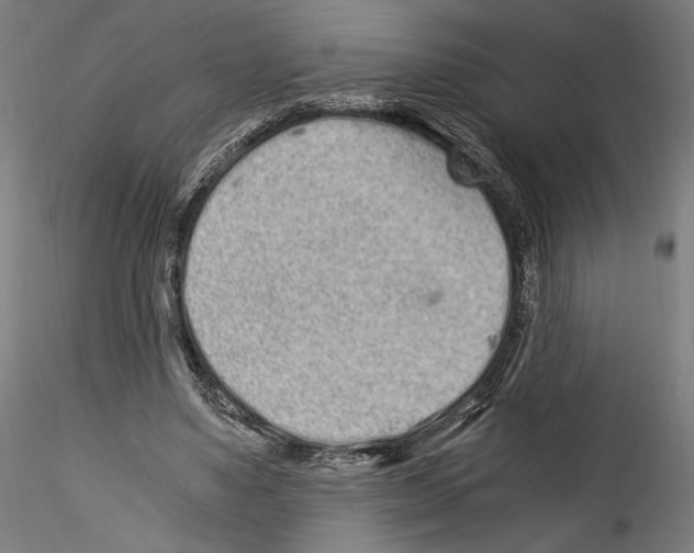 X0000114520491200911301120