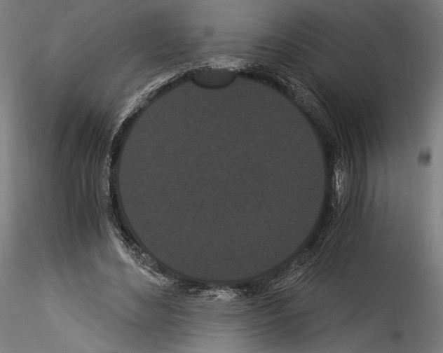 X0000114520492200911301120