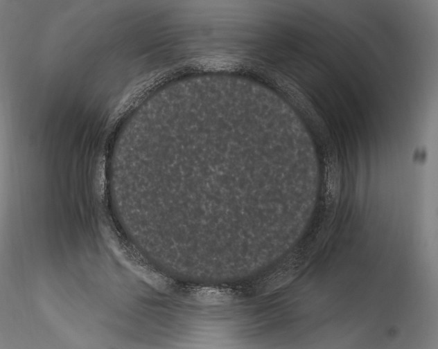 X0000114520494200911301120