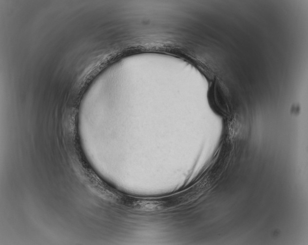 X0000114520495200911301120