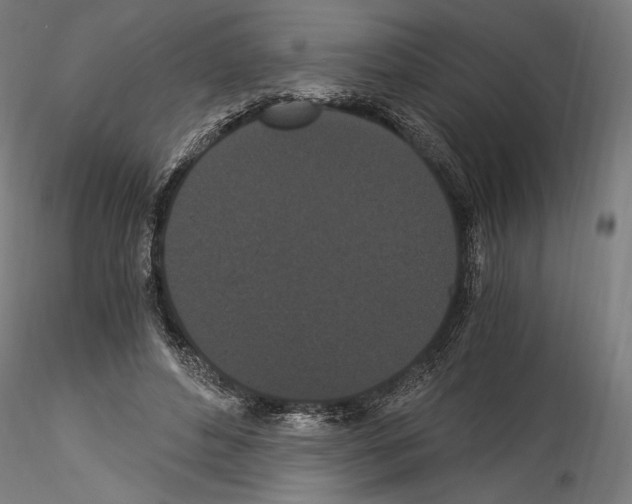 X0000114520496200911301120