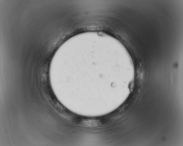 X0000114520499200911301120