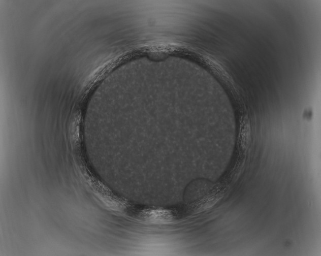 X0000114520501200911301119