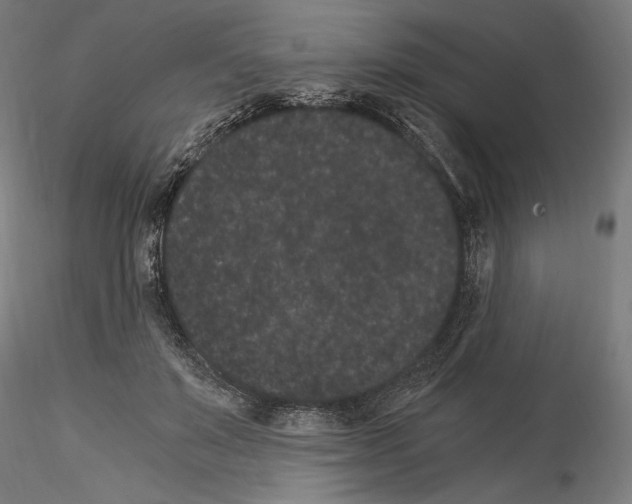 X0000114520503200911301119