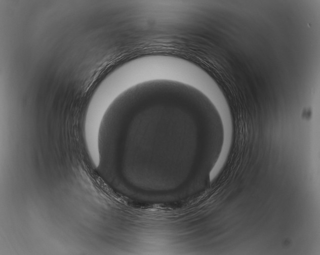 X0000114520504200911301119