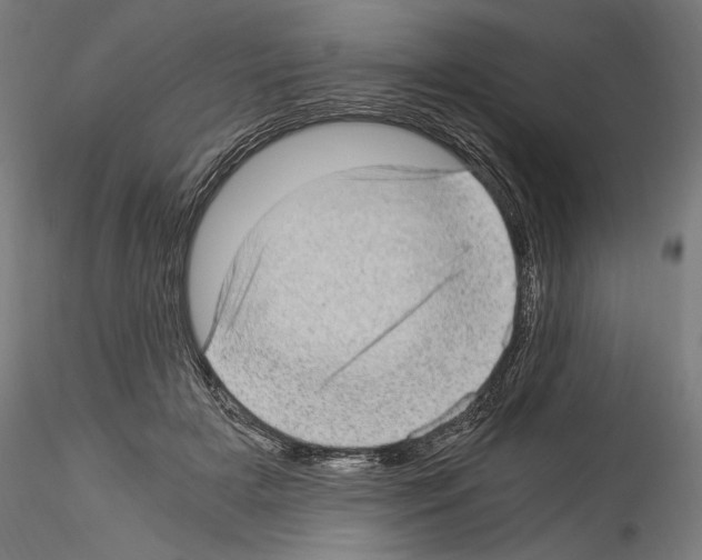 X0000114520505200911301119