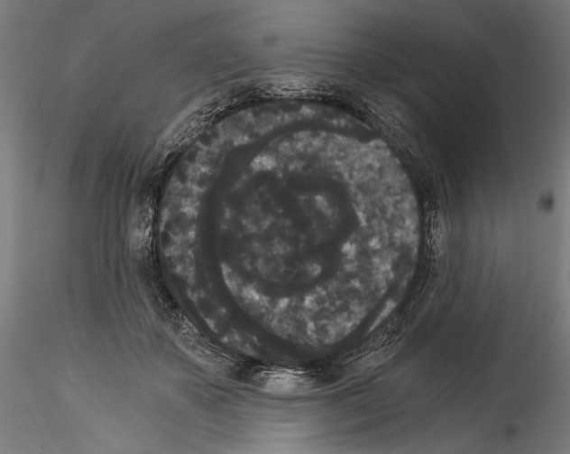 X0000114520507200911301119