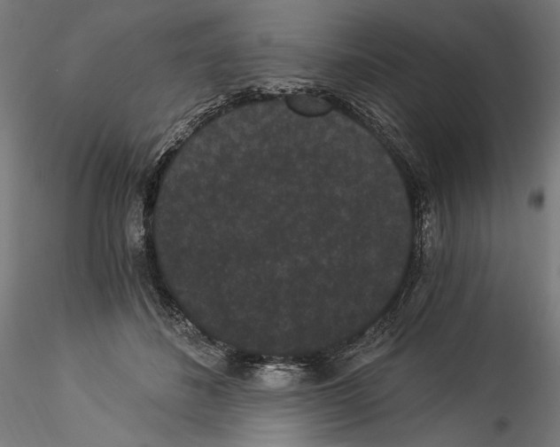 X0000114520508200911301119