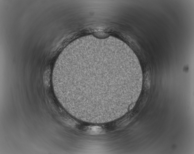 X0000114520509200911301119