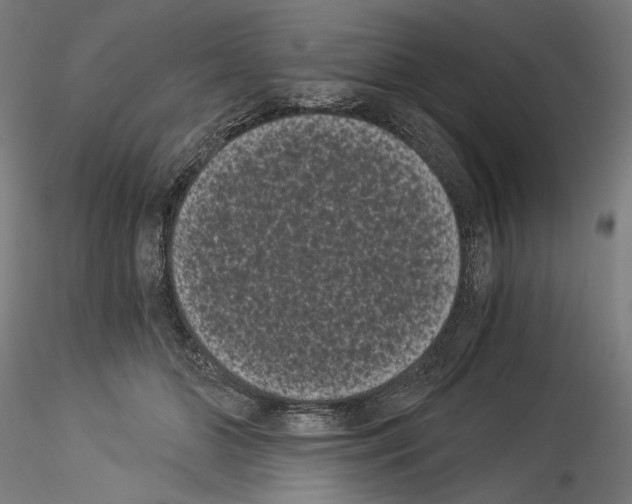 X0000114520510200911301119