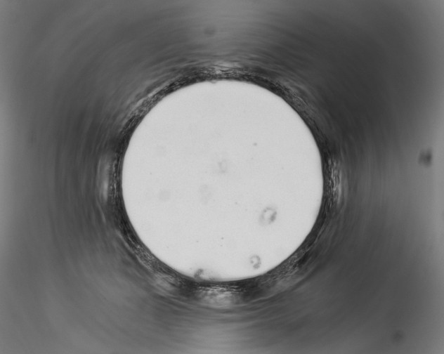 X0000114520511200911301119