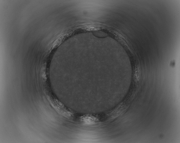 X0000114520512200911301119