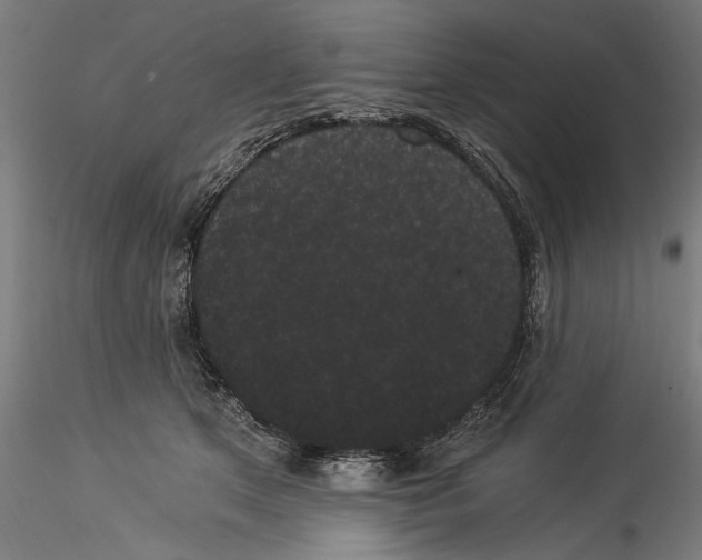 X0000114520513200911301119