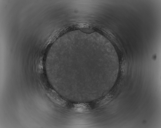 X0000114520516200911301119