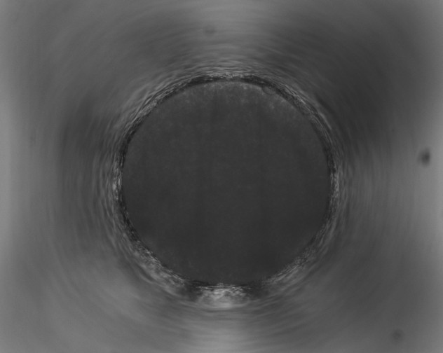 X0000114520517200911301119