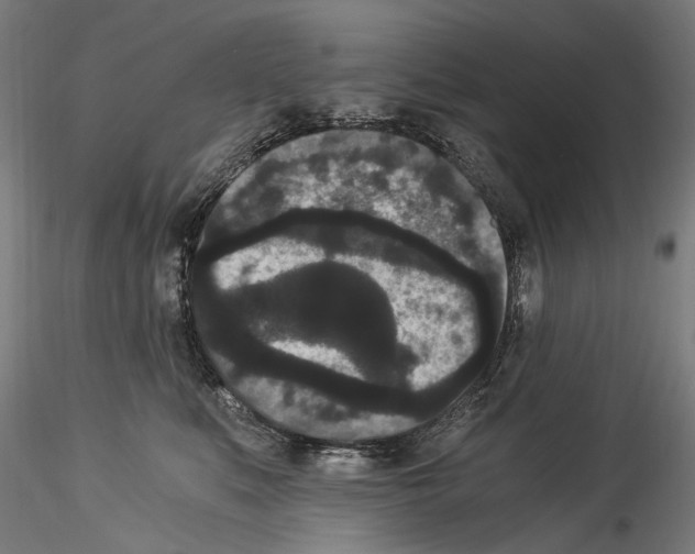 X0000114520519200911301119