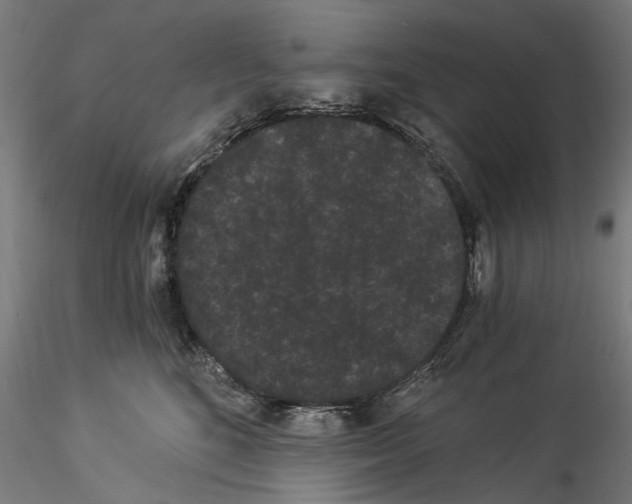 X0000114520520200911301119