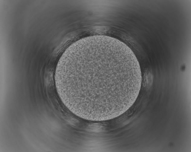 X0000114520522200911301119