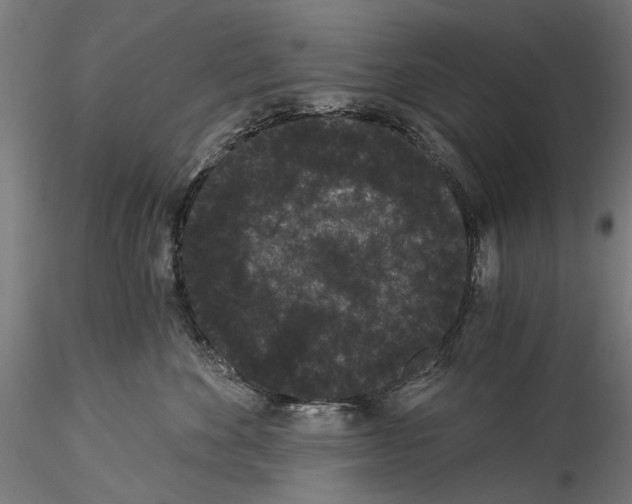 X0000114520524200911301119