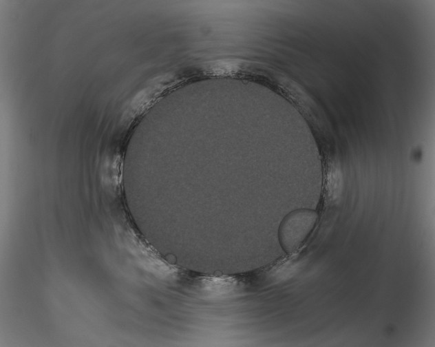 X0000114520525200911301119