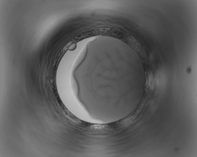 X0000114520526200911301119