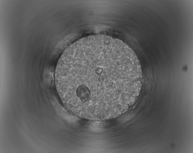 X0000114520527200911301119