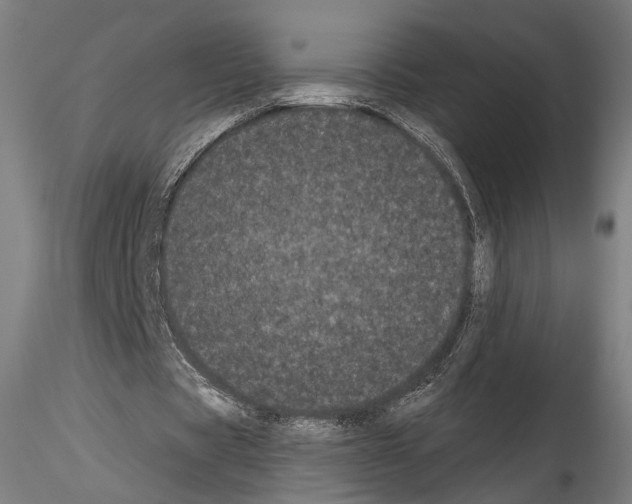 X0000114520529200911301118