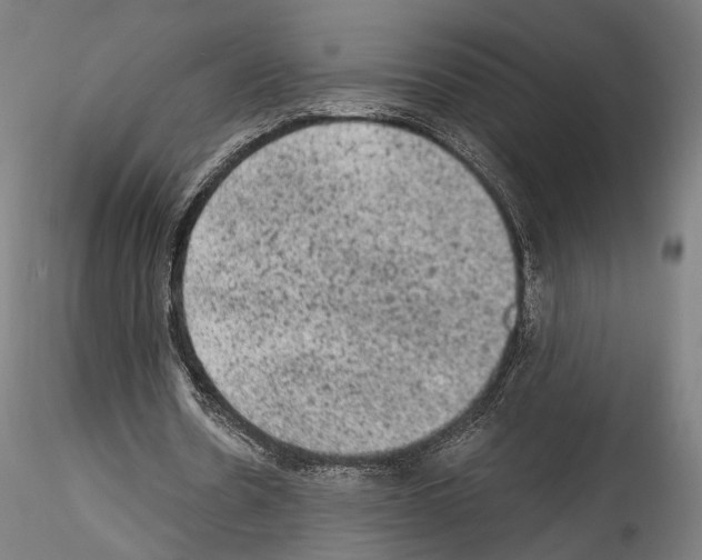 X0000114520530200911301118